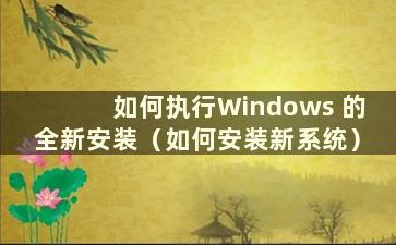 如何执行Windows 的全新安装（如何安装新系统）